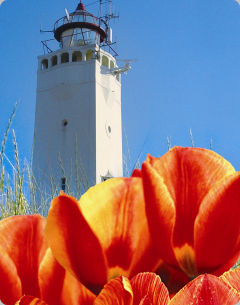 Aangezicht Noordwijk